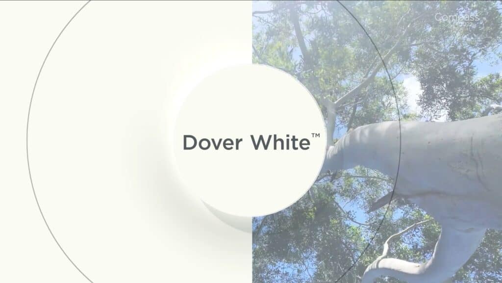 Dover White - New Colorbond Colour 23rd August 2022